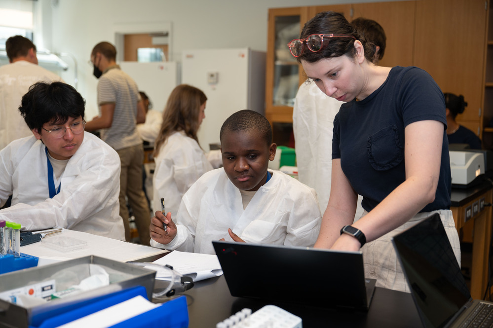 academic program assessment